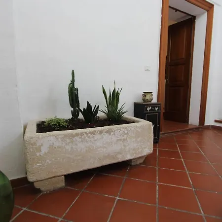 Bed & Breakfast Diaz31